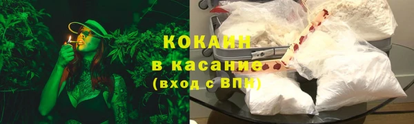ешки Дмитриев