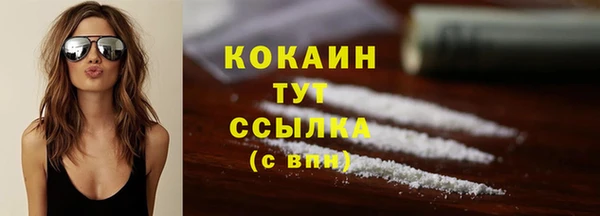 дживик Дмитровск