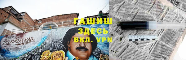 ешки Дмитриев