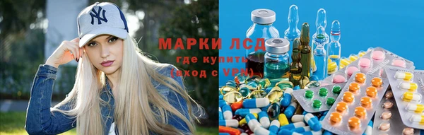 дживик Дмитровск